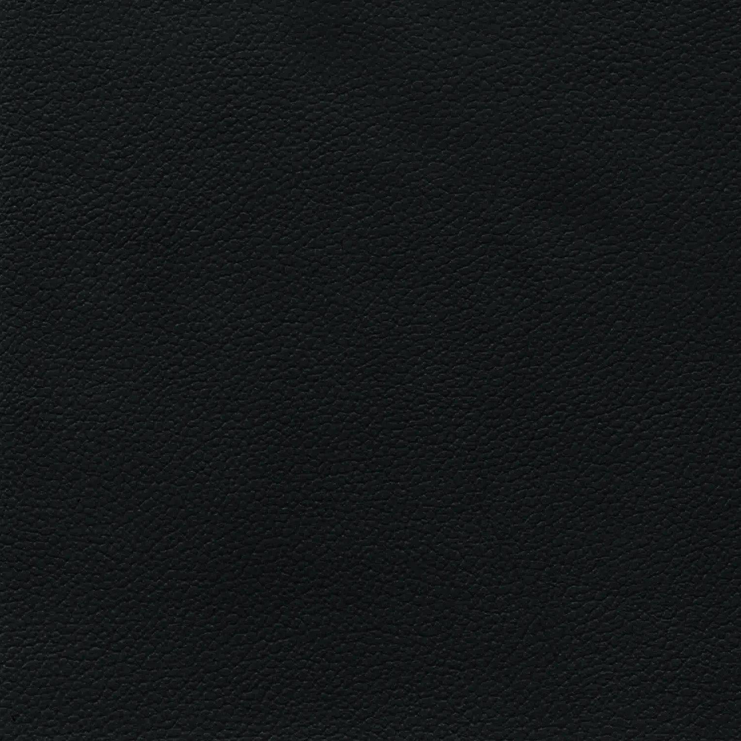 Black Monotone Leather