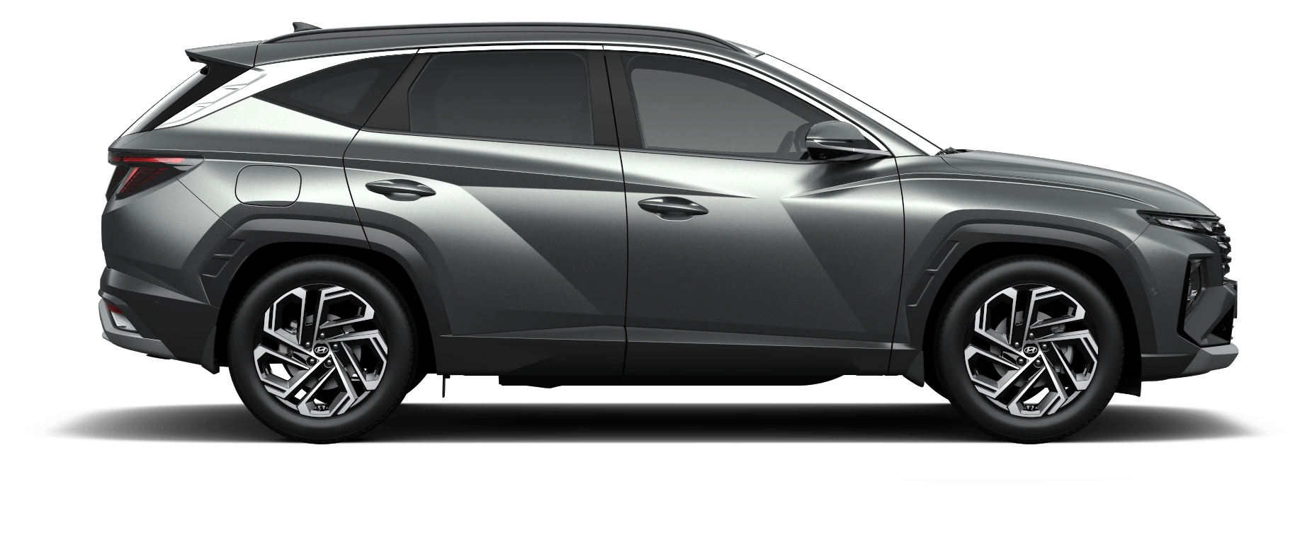 model image