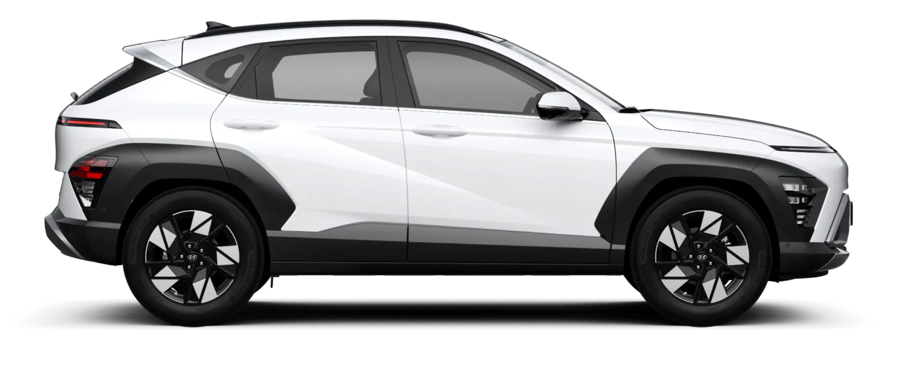 model image