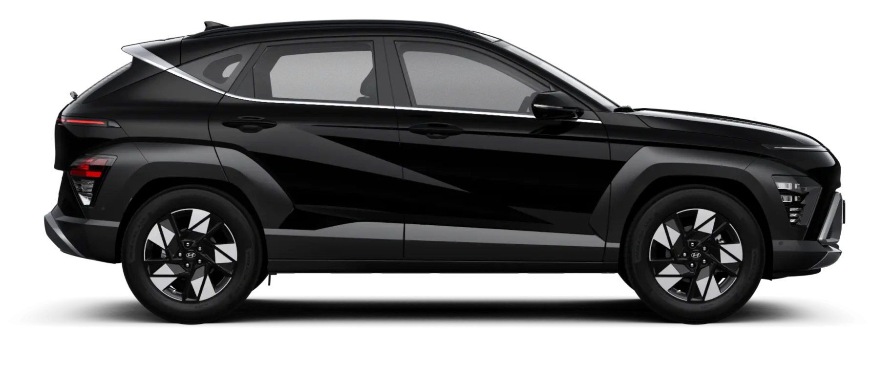 model image